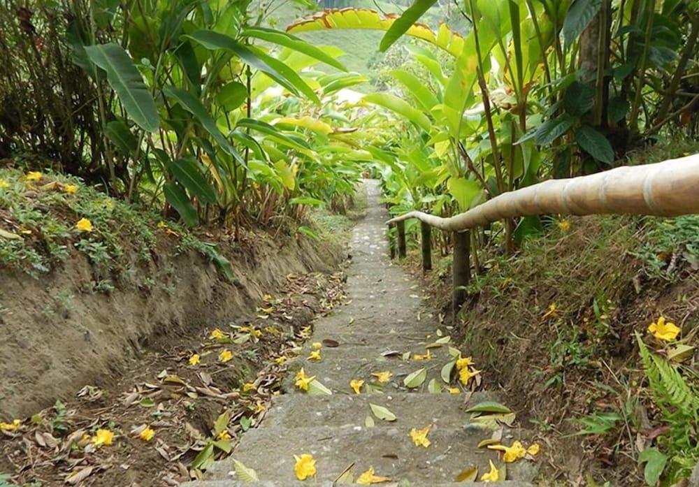 Eco Lodge La Juanita La Linda المظهر الخارجي الصورة