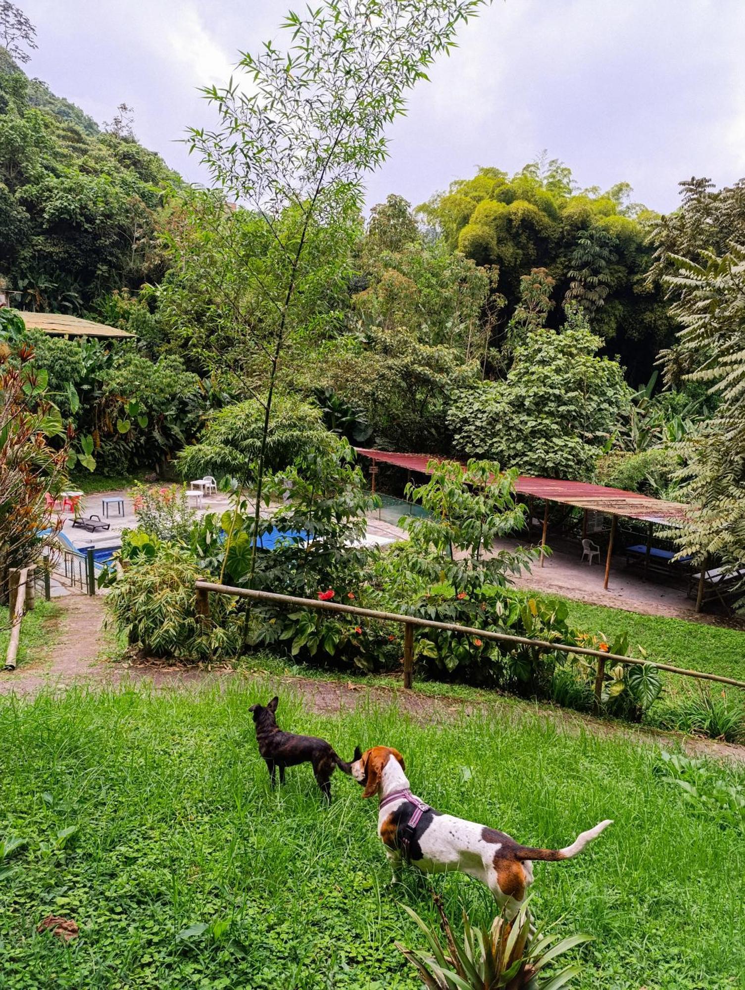 Eco Lodge La Juanita La Linda المظهر الخارجي الصورة