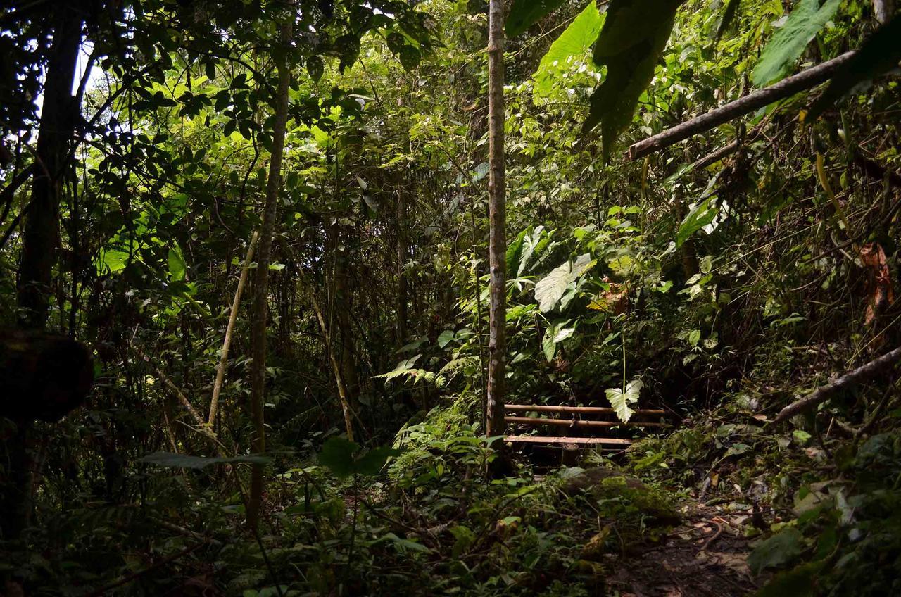 Eco Lodge La Juanita La Linda المظهر الخارجي الصورة